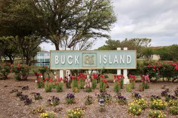 Buck Island